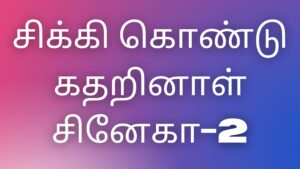 Read more about the article tamilkaamakataigal சிக்கி கொண்டு கதறினாள் சினேகா-2￼