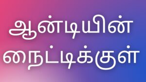 Read more about the article tamil kamakkathaigal ஆன்டியின் நைட்டிக்குள்