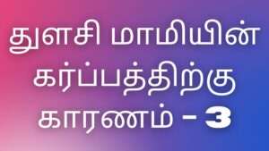 Read more about the article thamil kaama kataigal துளசி மாமியின் கர்ப்பத்துக்கு காரணம்-3