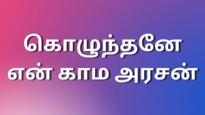 Read more about the article Tamil kamakadhaikal கொழுந்தனே என் காம அரசன்