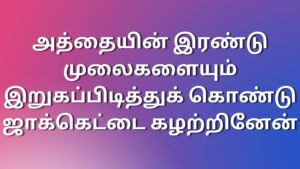 Read more about the article tamilnewkaamakathai அத்தையின் இரண்டு முலைகளையும் இறுகப்பிடித்துக் கொண்டு ஜாக்கெட்டை கழற்றினேன்