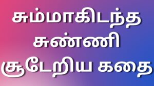 Read more about the article tamil kaamakathaigal2023 சும்மாகிடந்த சுண்ணி சூடேறிய கதை