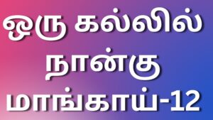Read more about the article new tamilkaamakathaigal ஒரு கல்லில் நான்கு மாங்காய்-12