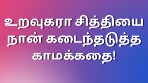 Read more about the article sex kadhaigal உறவுகரா சித்தியை நான் கடைந்தடுத்த காமக்கதை!