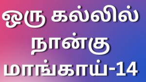 Read more about the article tamilsex kathaikal ஒரு கல்லில் நான்கு மாங்காய்-14