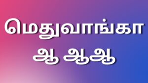 Read more about the article tamil kama kadhai மெதுவாங்காஆ ஆஆ