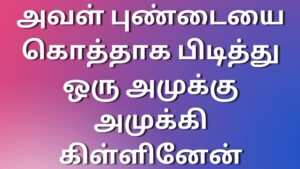 Read more about the article tamilkaamastories அவள் புண்டையை கொத்தாக பிடித்து ஒரு அமுக்கு அமுக்கி கிள்ளினேன்