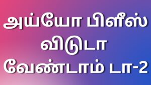 Read more about the article kamakadhai அய்யோ பிளீஸ் விடுடா வேண்டாம் டா-2