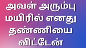 Read more about the article kamaleelaikadhaikal அவள் அரும்பு மயிரில் எனது தண்ணியை விட்டேன்