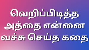 Read more about the article kudumbakathaikal வெறிப்பிடித்த அத்தை என்னை வச்சு செய்த கதை