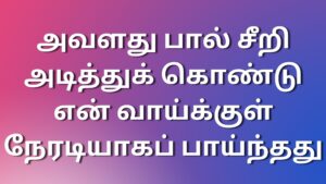 Read more about the article kamakathai2024 அவளது பால் சீறி அடித்துக் கொண்டு என் வாய்க்குள் நேரடியாகப் பாய்ந்தது