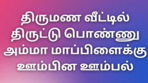 Read more about the article thevidiyakadhaigal திருமண வீட்டில் திருட்டு பொண்ணு அம்மா மாப்பிளைக்கு ஊம்பின ஊம்பல்