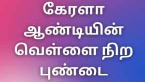 Read more about the article tamil auntykathai கேரளா ஆண்டியின் வெள்ளை நிற புண்டை