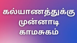 Read more about the article tamil auntyKadhaikal கல்யாணத்துக்கு முன்னாடி காமசுகம்