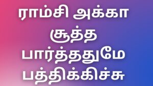 Read more about the article tamil thevdiyakadhaigal ராம்சி அக்கா சூத்த பார்த்ததுமே பத்திக்கிச்சு