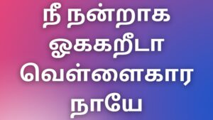 Read more about the article tamil auntyKathaigal நீ நன்றாக ஓககறீடா வெள்ளைகார நாயே