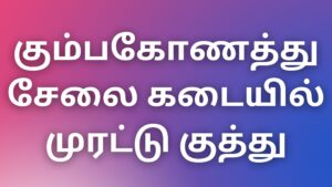 Read more about the article kamakathaigalintamil கும்பகோணத்து சேலை கடையில் முரட்டு குத்து