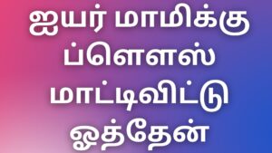 Read more about the article athai kaama kathaigal ஐயர் மாமிக்கு ப்ளௌஸ் மாட்டிவிட்டு ஓத்தேன்