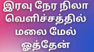 Read more about the article kamalogam kathaigal இரவு நேர நிலா வெளிச்சத்தில் மலை மேல் ஓத்தேன்